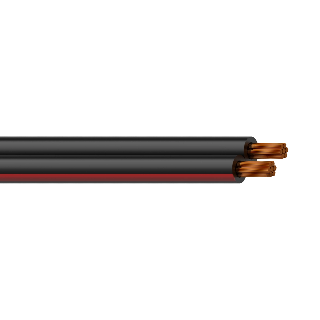 RZ25/1