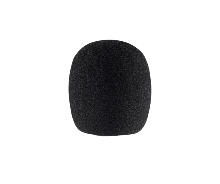 Sennheiser MZW 8000