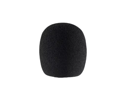Sennheiser MZW 8000
