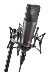 NEUMANN TLM 193