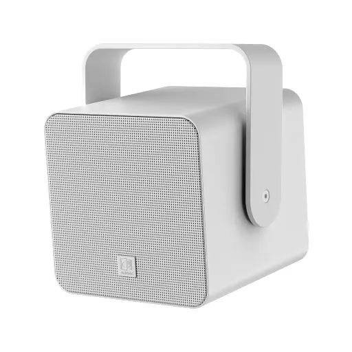 AUDAC VIRO5/W